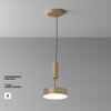 Миниатюра фото потолочный светодиодный светильник maytoni zon c032cl-24w4k-rd-mg | 220svet.ru